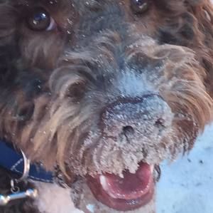 Meet your Posher, Cathy